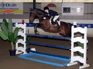 20080405_170952 Tora Matsson Fairy tales Capisco